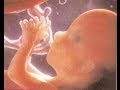 √ Télécharger l'image mon bébé a 2 mois et je suis enceinte 811009-Mon bébé a 2 mois et je suis enceinte