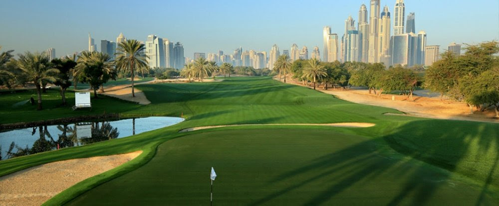 The Craziest City in the World (12)