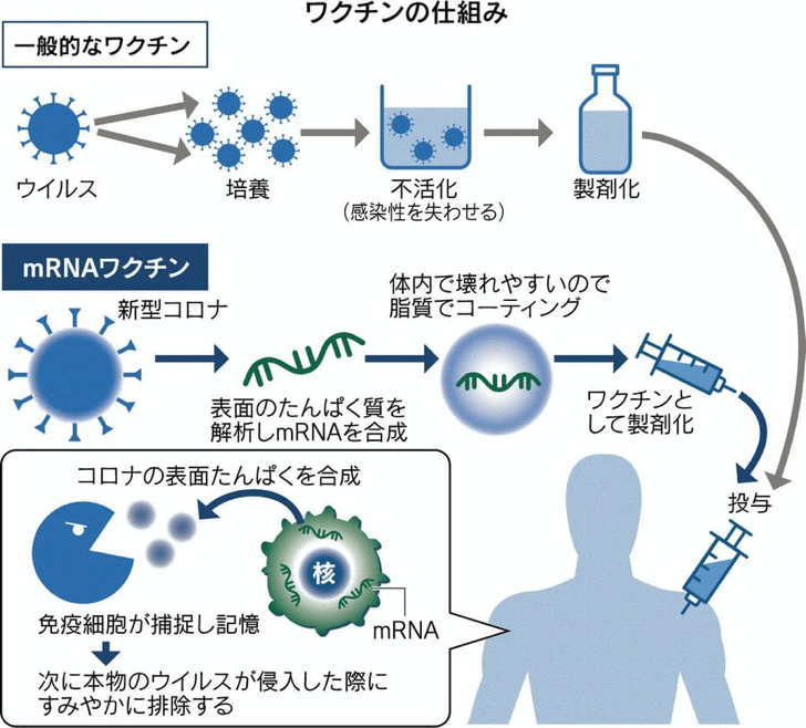新型コロナワクチンq A まきの消化器内科 外科クリニック