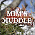 Mim's Muddle