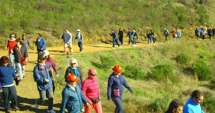 walking tours walking tours