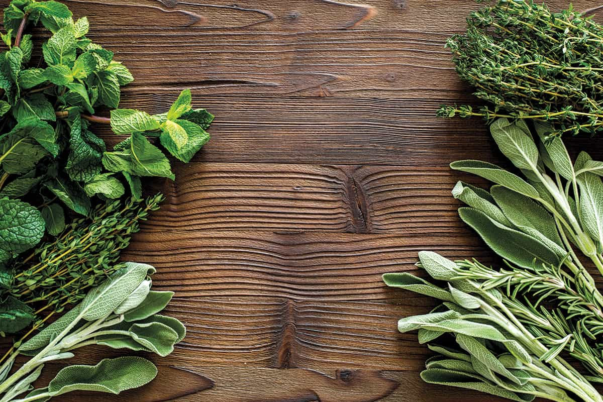 In The Garden Herbs Up High Teton Family Magazine - 