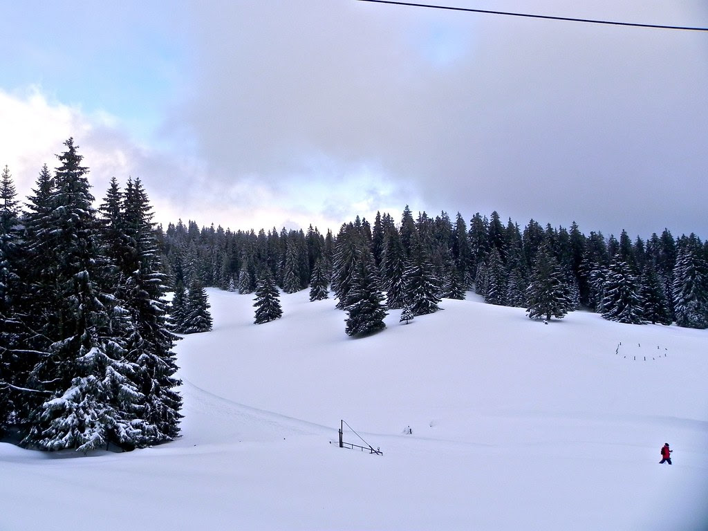 La Givrine -  Le Vermeilley