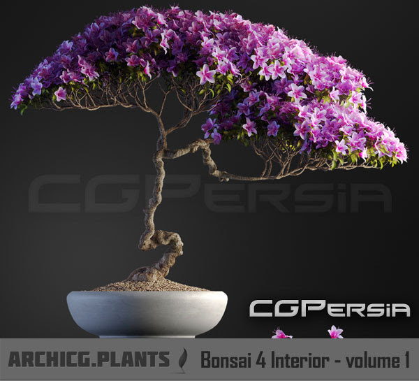 1751c3cbbd48a61e2465008793b0f27d