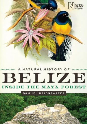 A Natural History of Belize: Inside the Maya Forest (Corrie Herring Hooks Series)