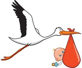 Cigogne Naissance Clip Art Library