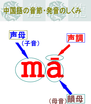 小雪の中国語学習 母音