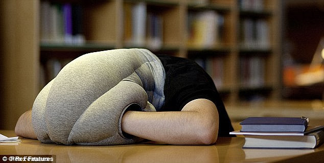 A slacker's dream: Now pupils can catch up on their sleep while pretending to hit the books