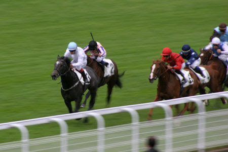 凱旋門賞馬バゴの弟maxios 仏ダービー馬を破る メゾンラフィットカップ12 凱旋門賞への道 フランス競馬ブログ親父