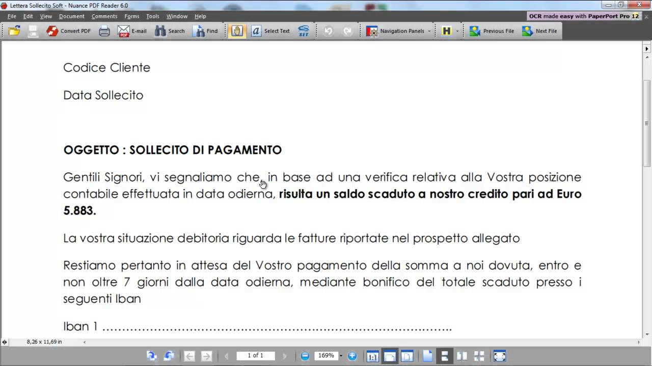 Paccofacile lettera di vettura