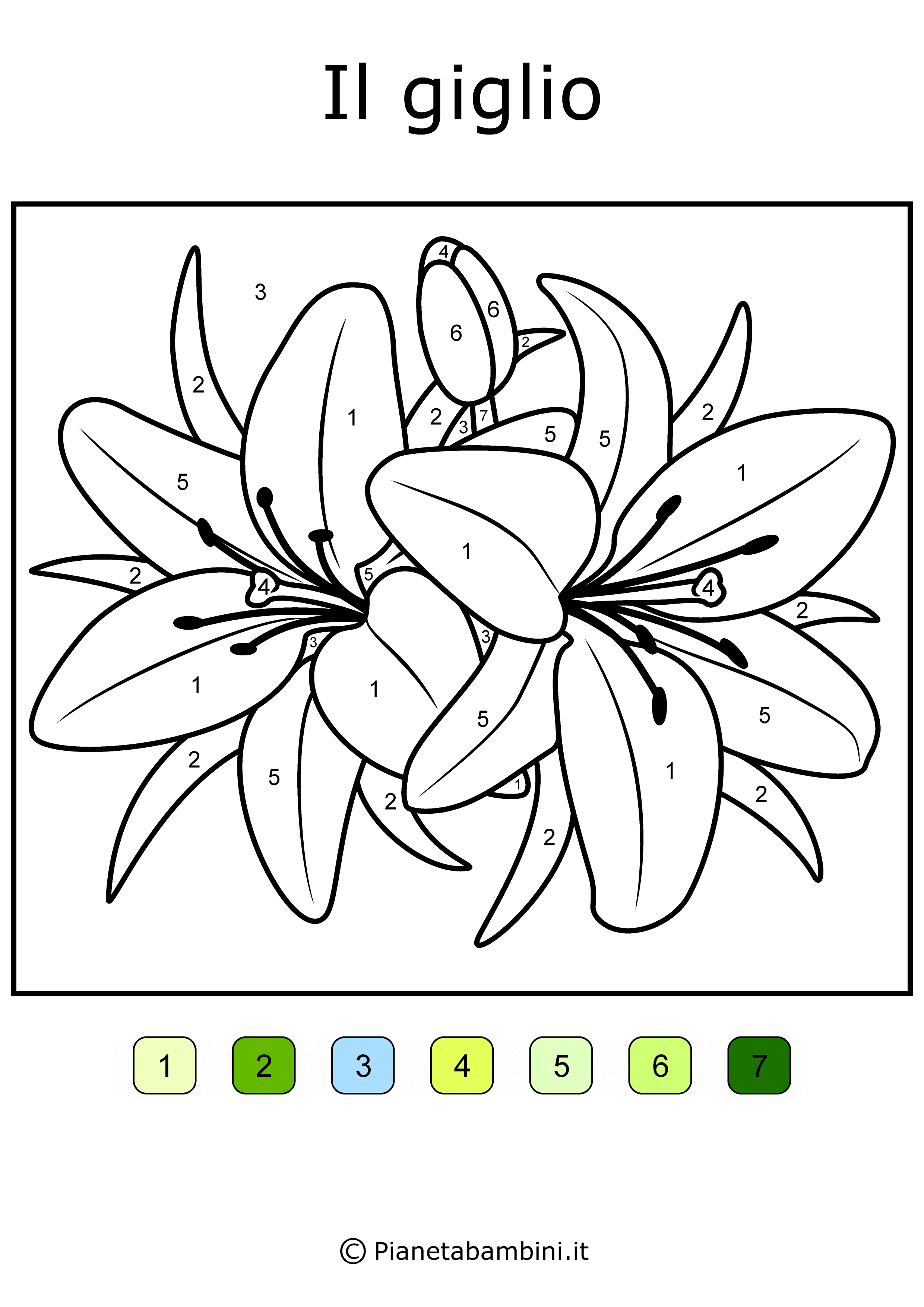 “Conta e colora” sui fiori di livello difficile