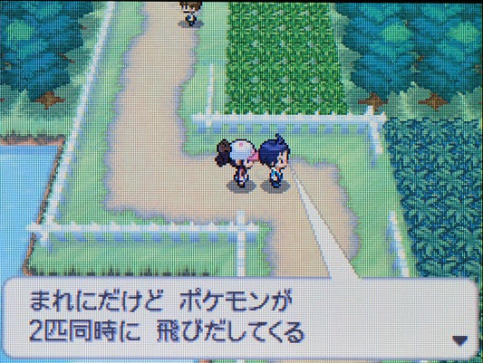 ポケモンｂｗプレイ日記１３ ポケモン育成 実践レポート