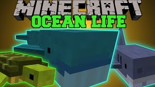 Minecraft: EPIC OCEANS (RIDE SEAHORSES, NEW FISH, CRAZY 