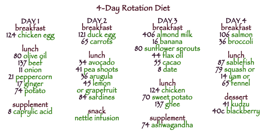 Best Quality 4Day Diet Menu Plan 539 x 270 · 19 kB · gif