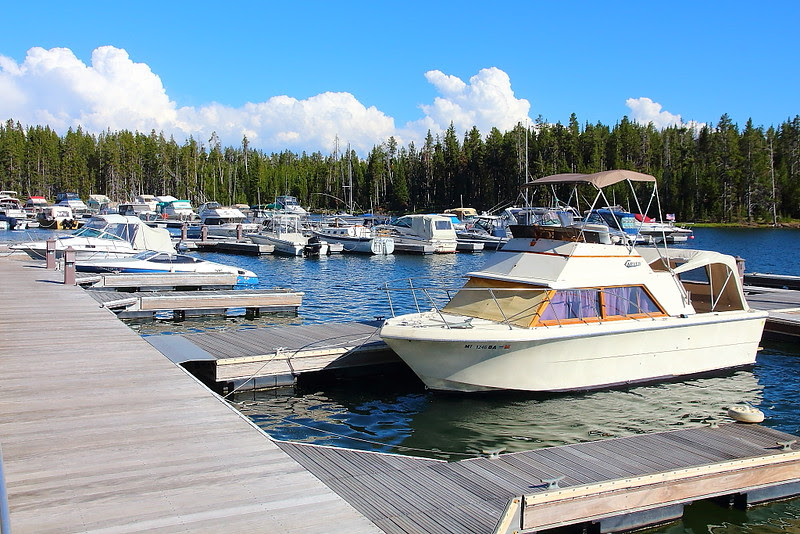 IMG_3330 Boat Tour, Yellowstone National Park