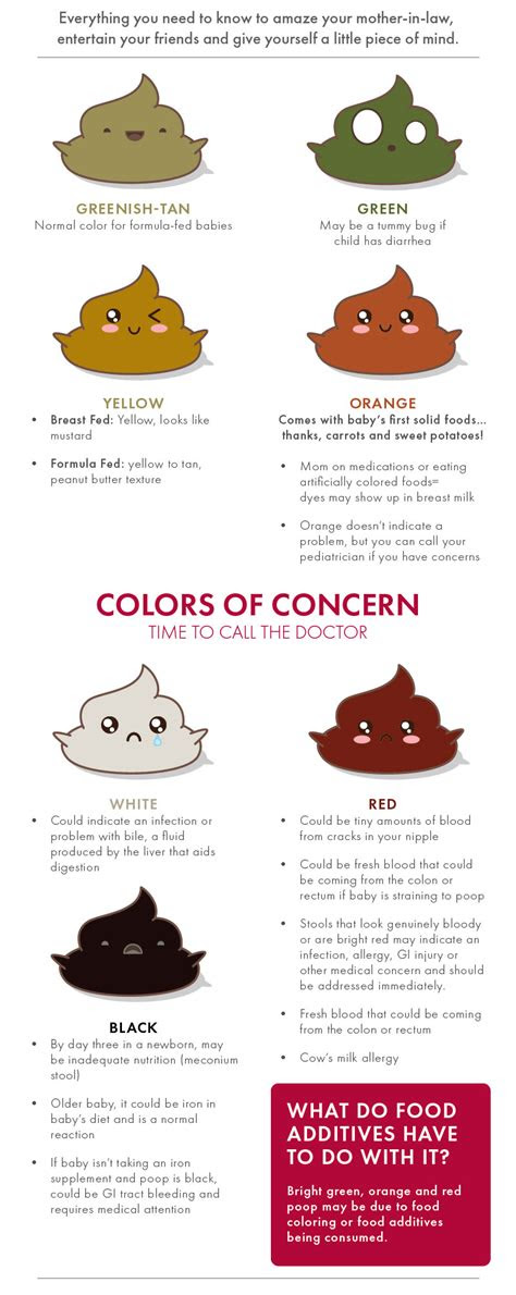 The color and texture may provide hints to your baby's diet or health. what helps babies poop examples and forms