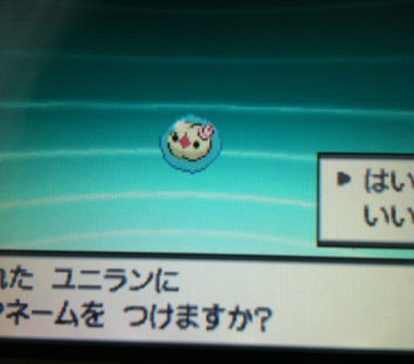 国際孵化ランクルス