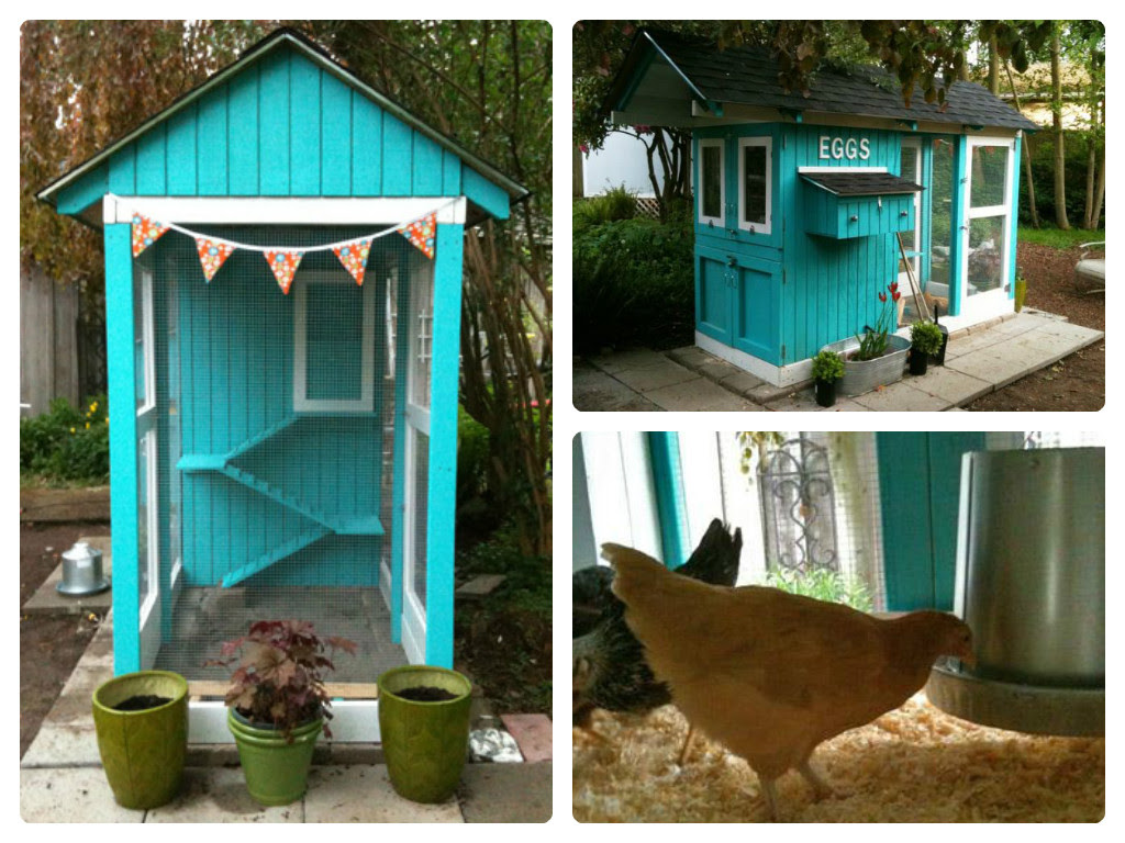 Chicken Coops