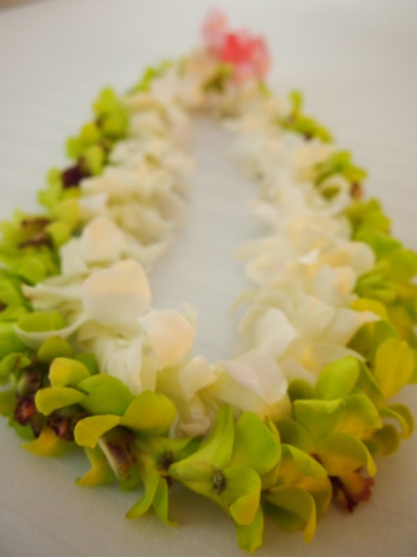 幸せの連鎖が始まる時 素敵なことと嬉しいことが次々に起こっていく ハッピー連鎖1