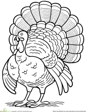 Turkey | Coloring Page | Education.com
