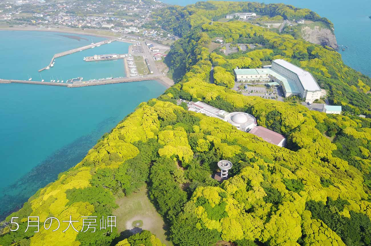 南房総 ゴールデンウィークおすすめ観光スポット 房総タウン Com