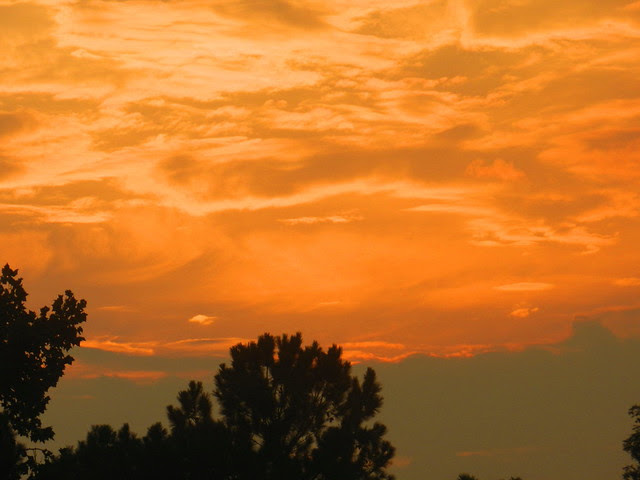 skywatchDSCN1281