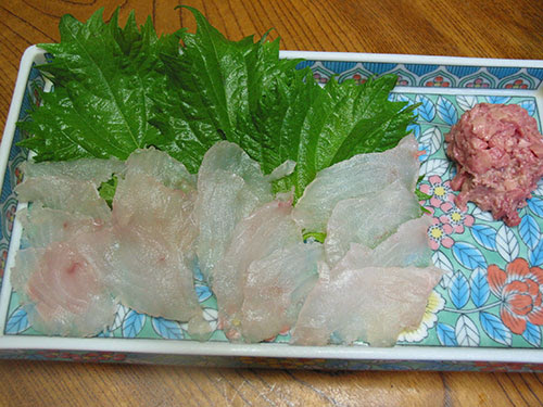 マトウダイ 的鯛 釣魚料理大全 海水編 房総爆釣通信