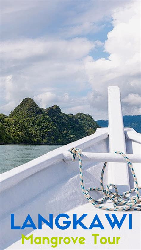 mangrove  langkawi surprise stingray attack