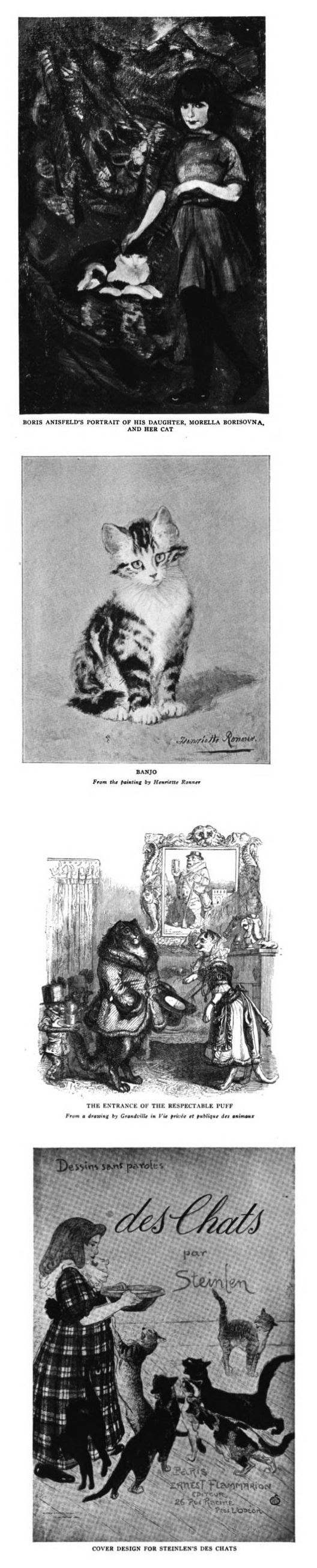 The Tiger In The House Carl Von Vechten