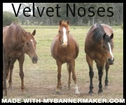 create your own banner at mybannermaker.com!