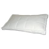 Blue Ridge Home Down Topper Pillow