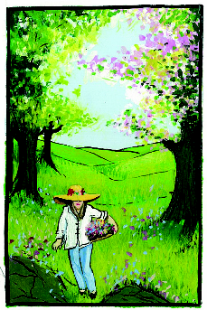 Nature