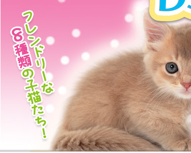 かわいい子猫ds 公式ページ
