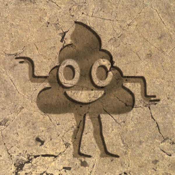 Origin of a Feces: A Not-So-Brief History of 