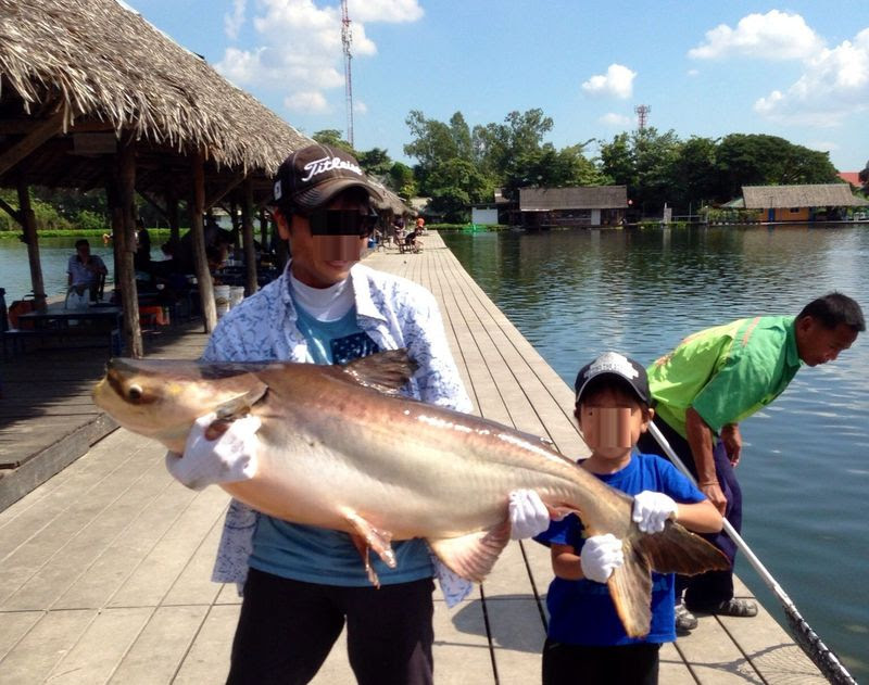 釣り好き必訪 バンコク近郊で50kg級巨大ナマズを釣ろう タイ トラベルjp 旅行ガイド