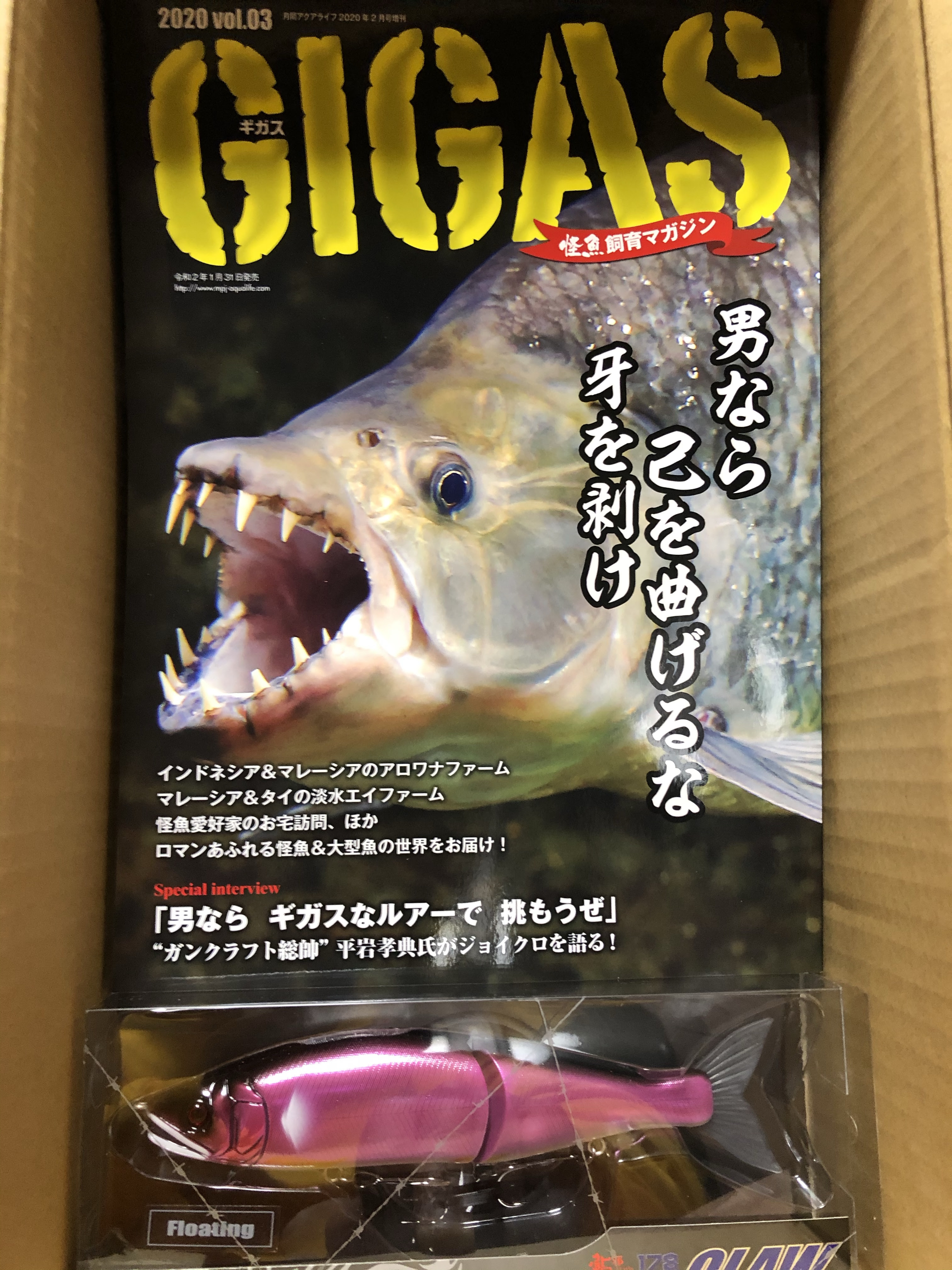 熱帯魚の本に載りました Koz Case