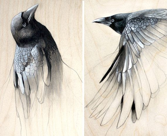 Raven Art Study Set of Two Prints by TheHauntedHollowTree on Etsy, $42.00
