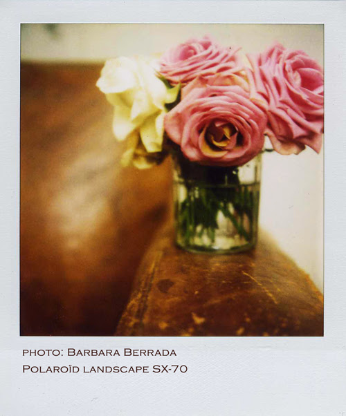 polaroids