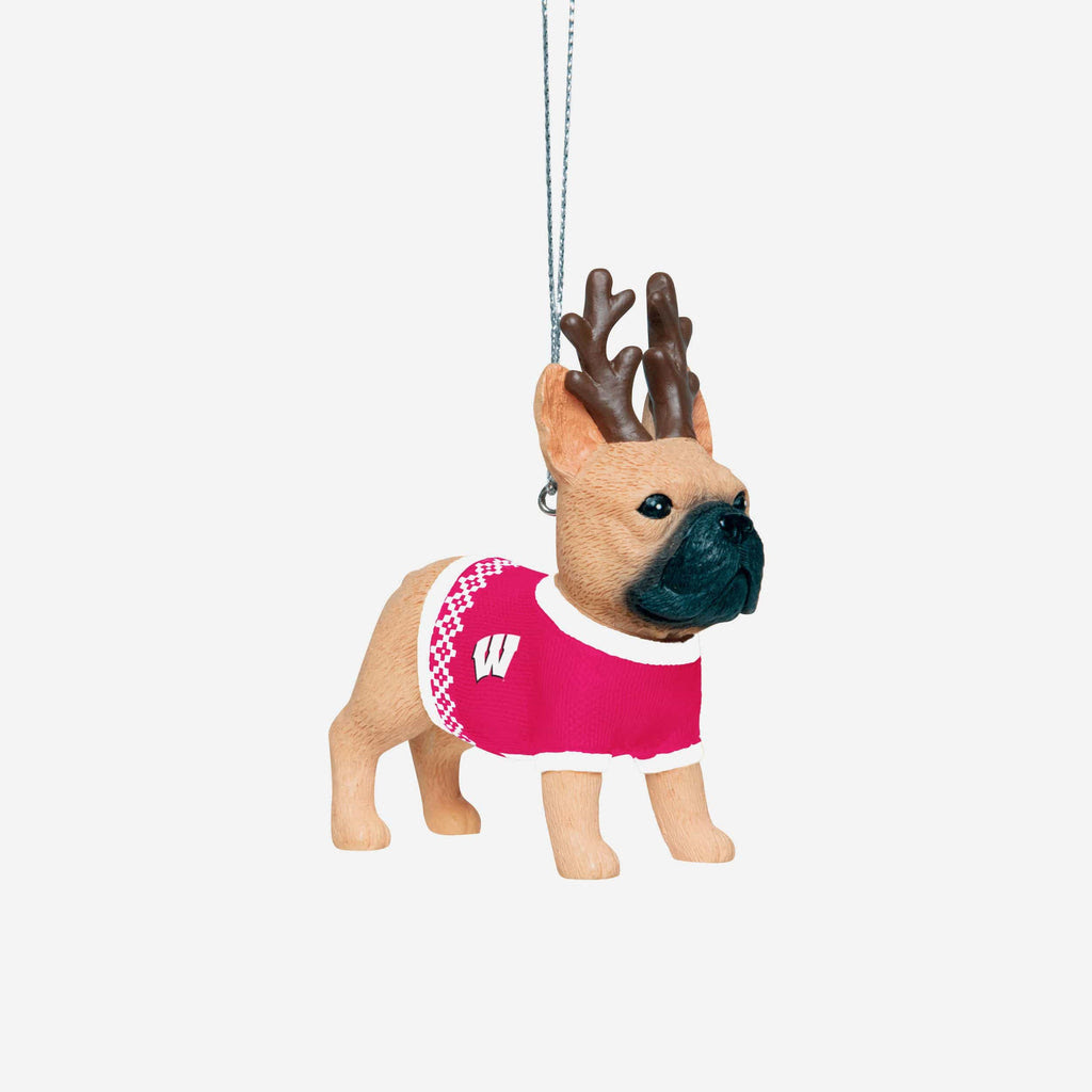 Wisconsin Badgers French Bulldog Wearing Sweater Ornament FOCO