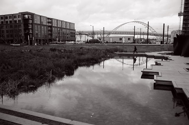 tanner springs