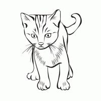 kleurplaten kat kleurplaten kleurplaatnl