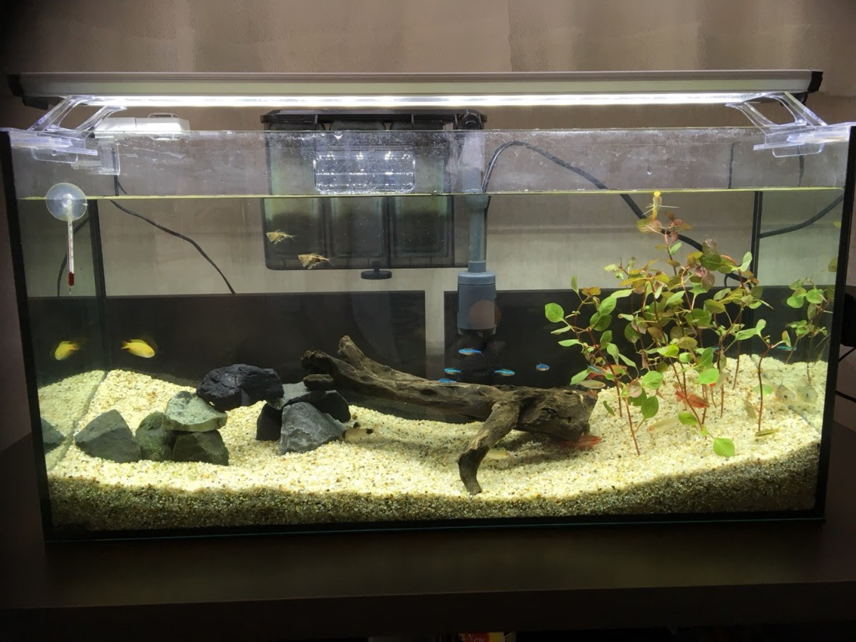 秋田市で車の買取なら 査定額 買取価格が相場以上と評判のラビット秋田臨海店 秋田観光におすすめのご当地レンタカーのご予約もどうぞ スタッフブログ