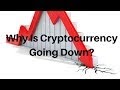 Why Is The Bitcoin Price Going Down? - Why Bitcoin Price Down - Good New Stories / Why is cryptocurrency going down?