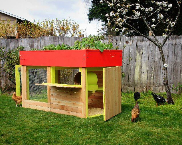 The Poultry Guide A Free Source Of Information for poultry Keepers ...