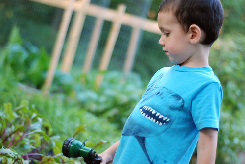 Garden helper
