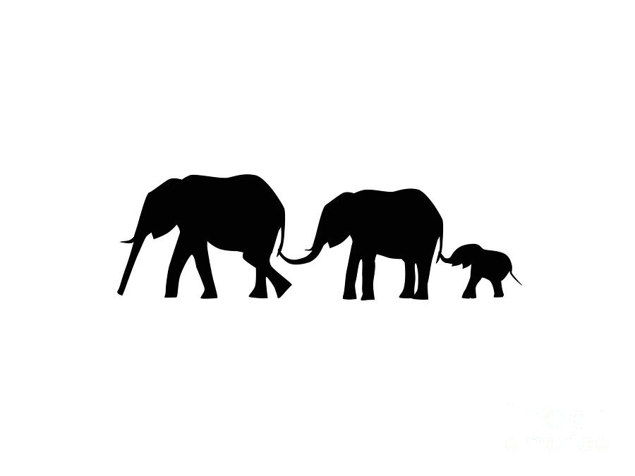 Free Free 330 Stencil Baby Elephant Outline Svg SVG PNG EPS DXF File