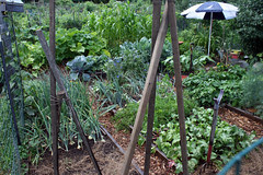 plot 027