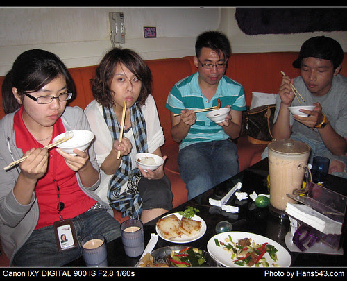 k9_party_40