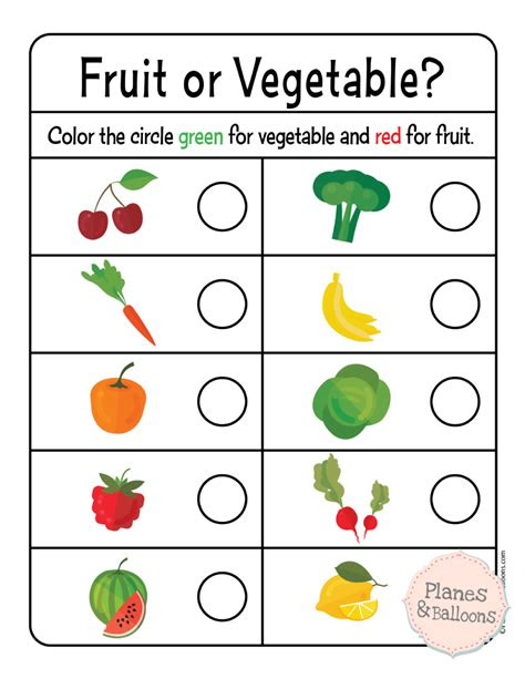  sorting worksheet first grade