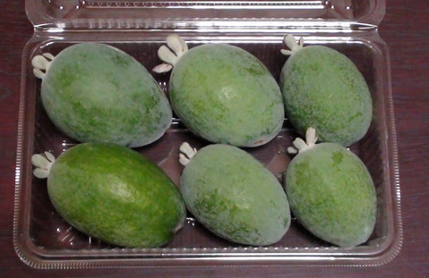 フェイジョアの果実 販売開始 Naoto S Feijoa Garden なおとフェイジョア園